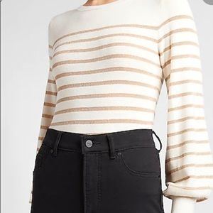 NWT Express Metallic Balloon Stripe top